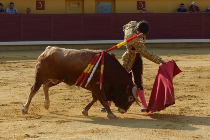 Puerta grande para Adrián Reinosa en Almodóvar del Campo 