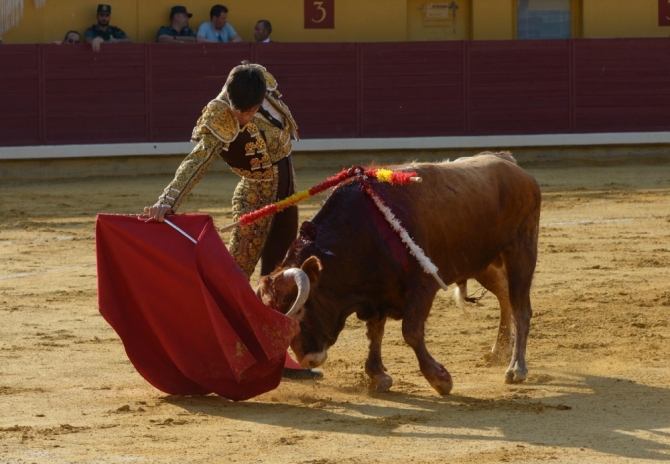 Puerta grande para Adrián Reinosa en Almodóvar del Campo 
