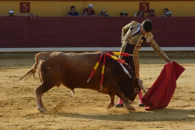 Puerta grande para Adrián Reinosa en Almodóvar del Campo 