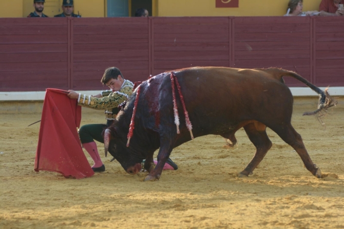 Puerta grande para Adrián Reinosa en Almodóvar del Campo 