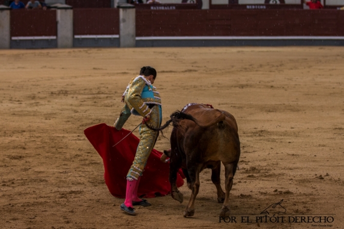 Segunda nocturna de Las Ventas, en imágenes