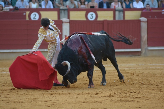 Samuel Navalón no levanta el pie en Ciudad Real 