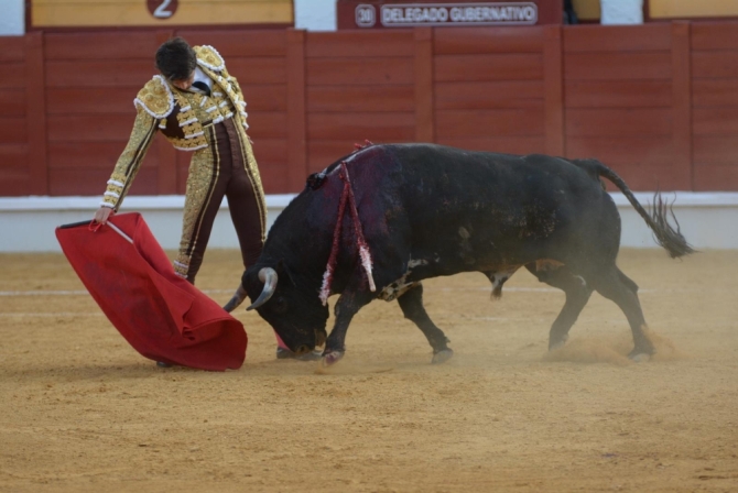Talavante indulta a 'Desgrañado', de Cayetano Muñoz