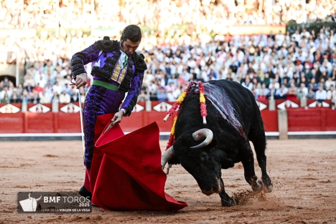 'Morante se inspira y Borja se impone en Salamanca'