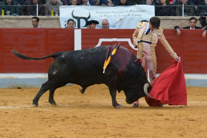 La IV Corrida Benéfica de Villaseca, en imágenes 
