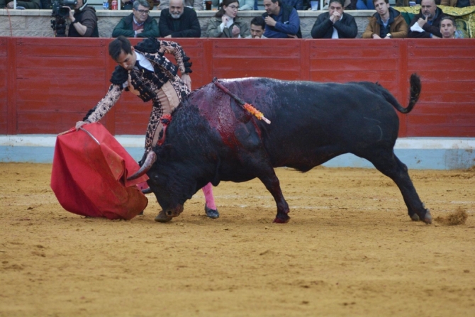 La IV Corrida Benéfica de Villaseca, en imágenes 