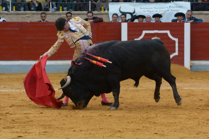 La IV Corrida Benéfica de Villaseca, en imágenes 