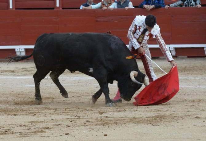 La encerrona triunfal de Lorenzo, en imágenes 