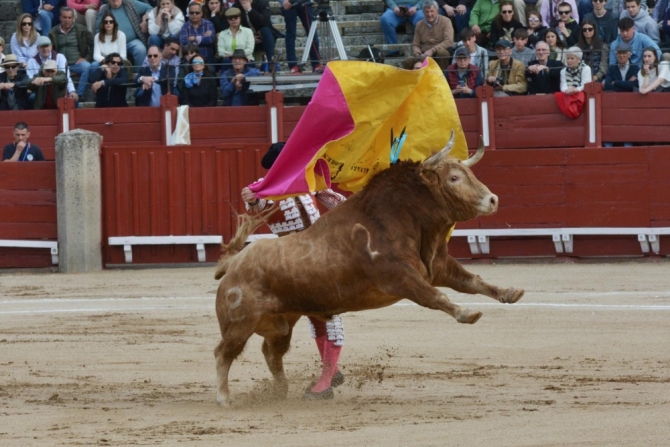 La encerrona triunfal de Lorenzo, en imágenes 