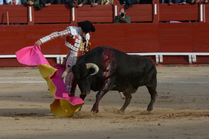La encerrona triunfal de Lorenzo, en imágenes 