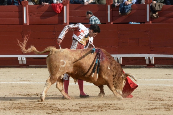 La encerrona triunfal de Lorenzo, en imágenes 