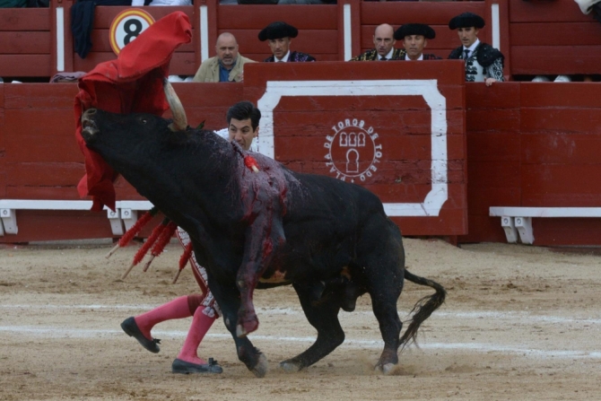 La encerrona triunfal de Lorenzo, en imágenes 
