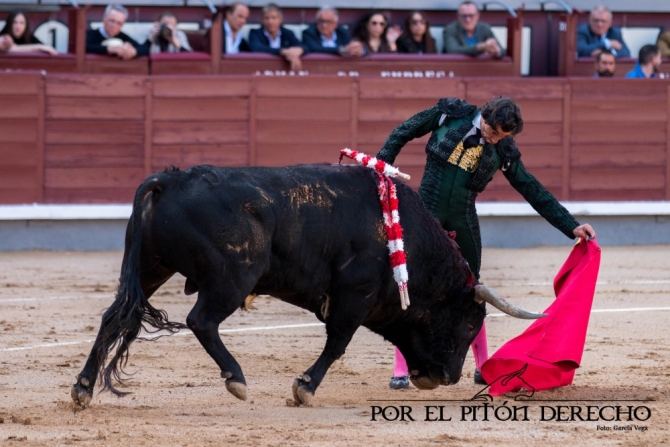 ¡Honor a los toreros!