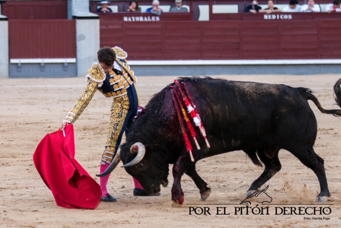 ¡Honor a los toreros!