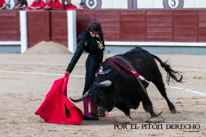 ¡Honor a los toreros!