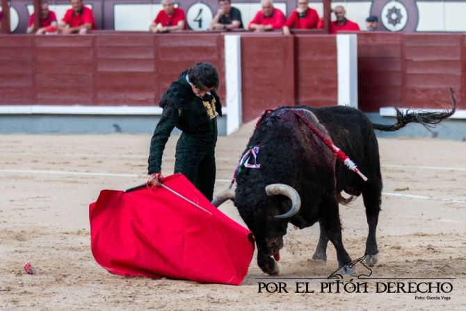 ¡Honor a los toreros!