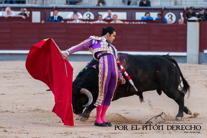 ¡Honor a los toreros!