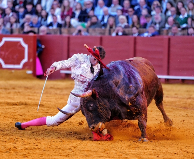 Rafa Serna corta una «oreja de Sevilla»