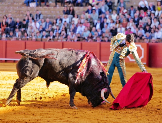 Rafa Serna corta una «oreja de Sevilla»