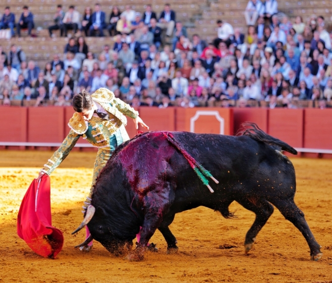 Rafa Serna corta una «oreja de Sevilla»