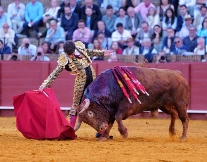 'Don Santiago, ¿qué más quieren las figuras para elegirte?'