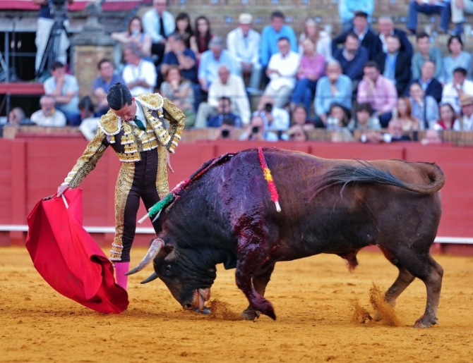 'Don Santiago, ¿qué más quieren las figuras para elegirte?'