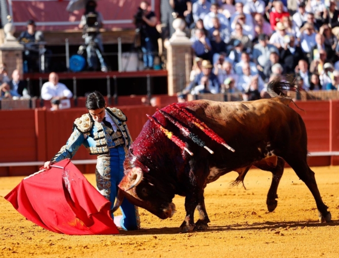 'Don Santiago, ¿qué más quieren las figuras para elegirte?'