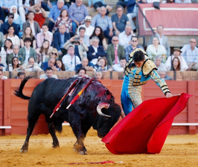 'Don Santiago, ¿qué más quieren las figuras para elegirte?'