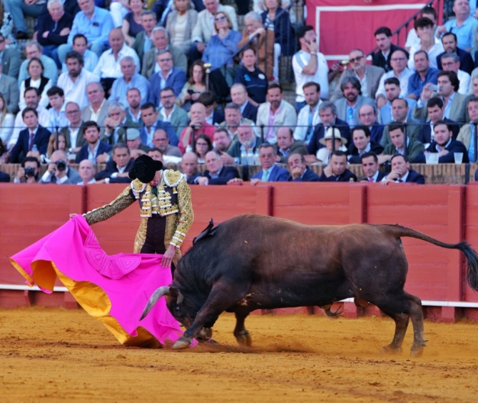 'Don Santiago, ¿qué más quieren las figuras para elegirte?'