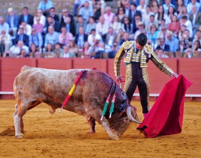 'Don Santiago, ¿qué más quieren las figuras para elegirte?'