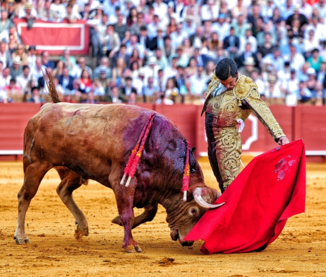 Morante, su arrebato y «después naide»