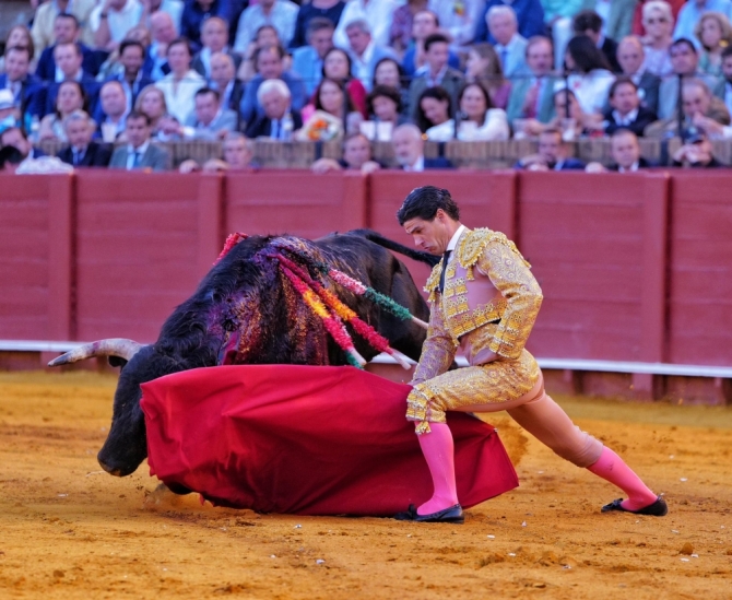 'Sol, mansos y resaca'