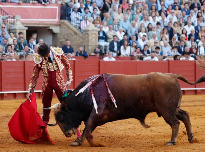 'Sol, mansos y resaca'