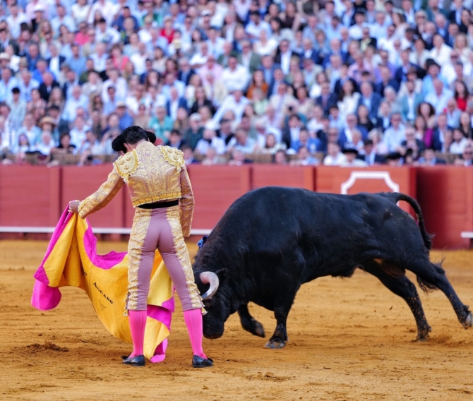 'Sol, mansos y resaca'