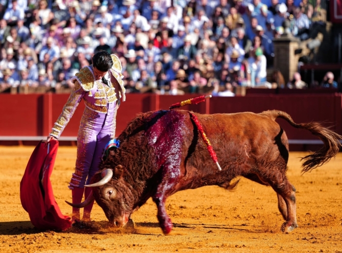 'Sol, mansos y resaca'