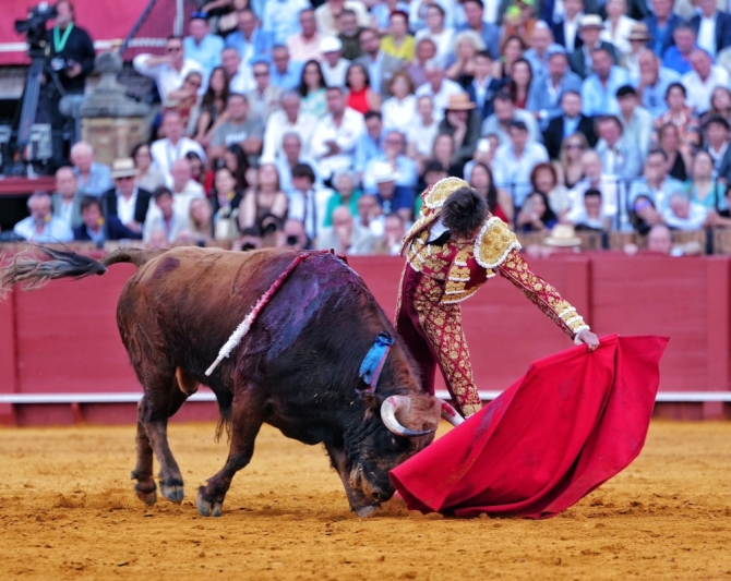 'Sol, mansos y resaca'