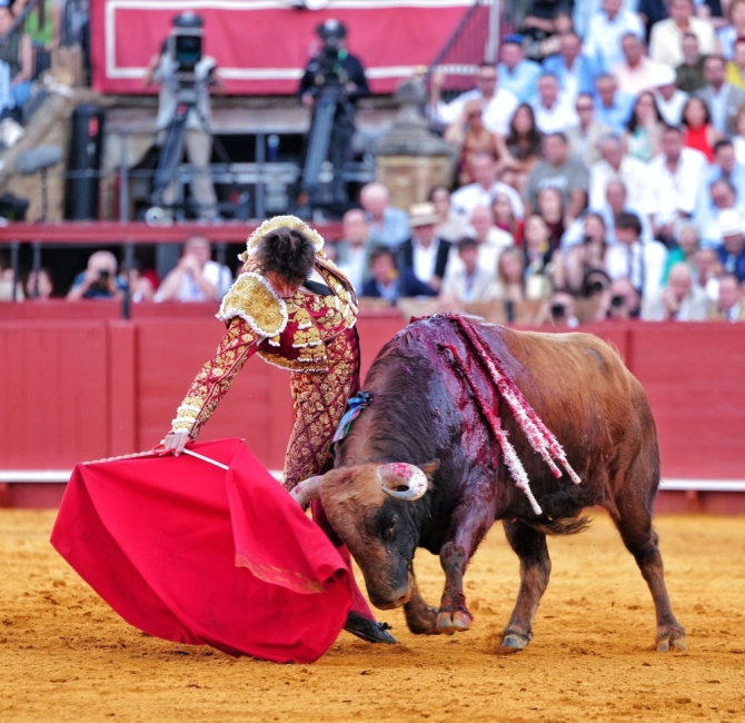 'Sol, mansos y resaca'