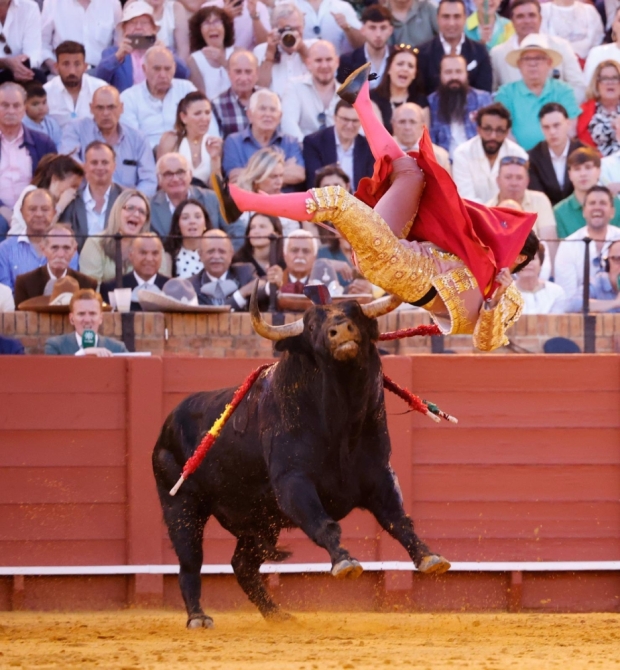 'Sol, mansos y resaca'