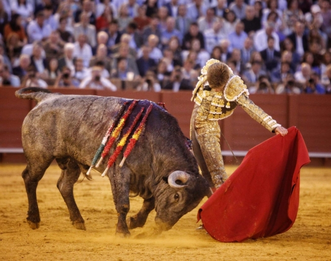 'Sin espada no hay gloria y sin toro, tampoco'