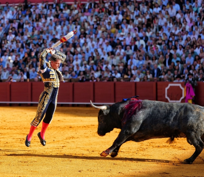 'Sin espada no hay gloria y sin toro, tampoco'