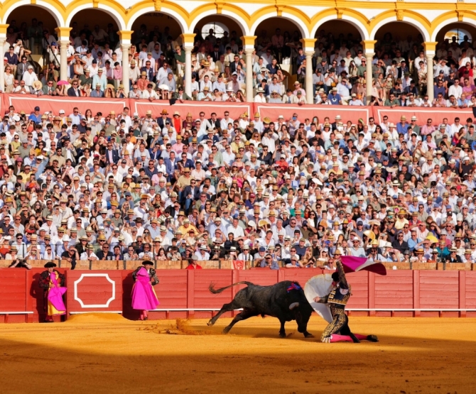 'Sin espada no hay gloria y sin toro, tampoco'