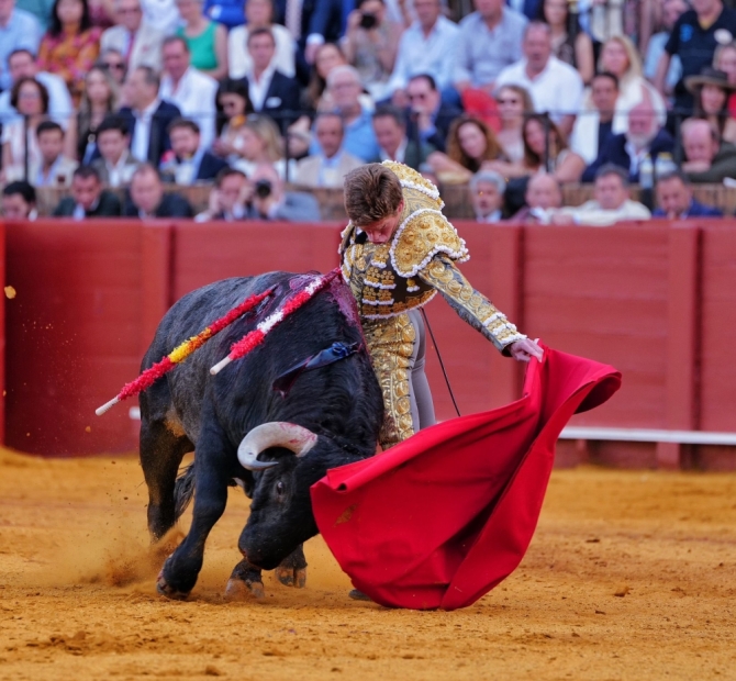 'Sin espada no hay gloria y sin toro, tampoco'