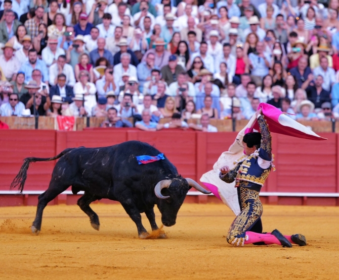 'Sin espada no hay gloria y sin toro, tampoco'