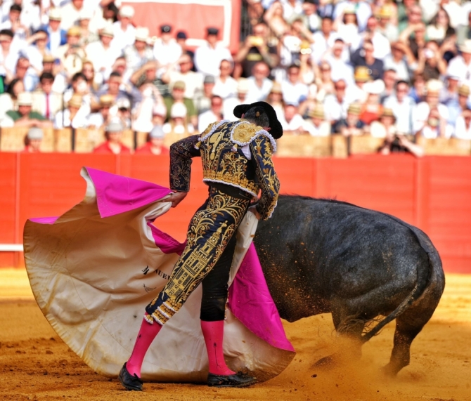 'Sin espada no hay gloria y sin toro, tampoco'