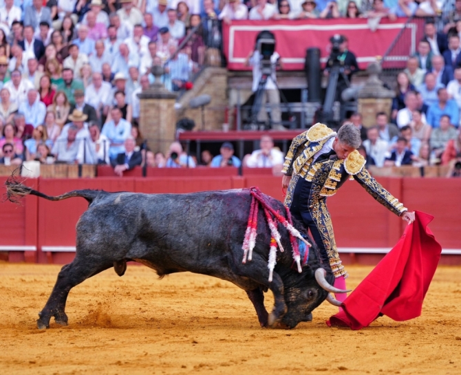 'Sin espada no hay gloria y sin toro, tampoco'