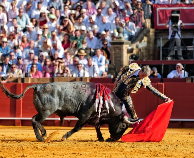 'Sin espada no hay gloria y sin toro, tampoco'
