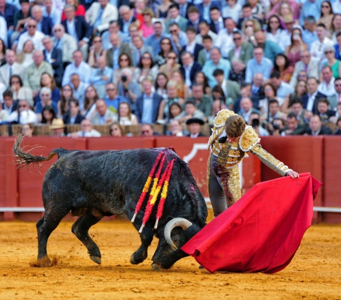 'Sin espada no hay gloria y sin toro, tampoco'