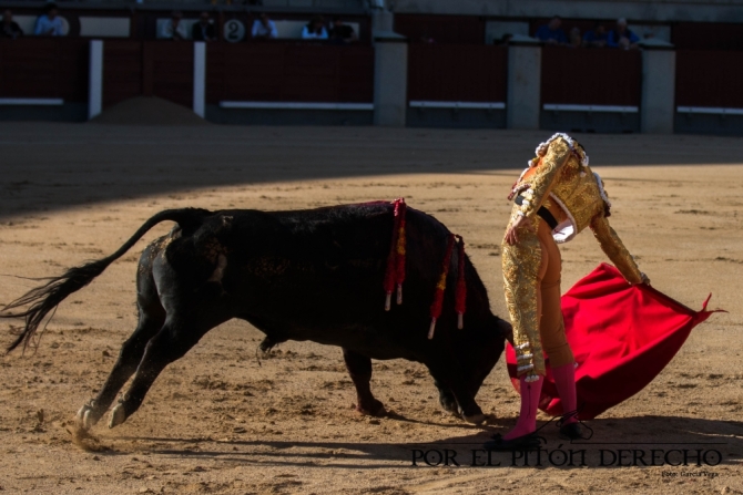 '¿Dónde tenéis la finca?'