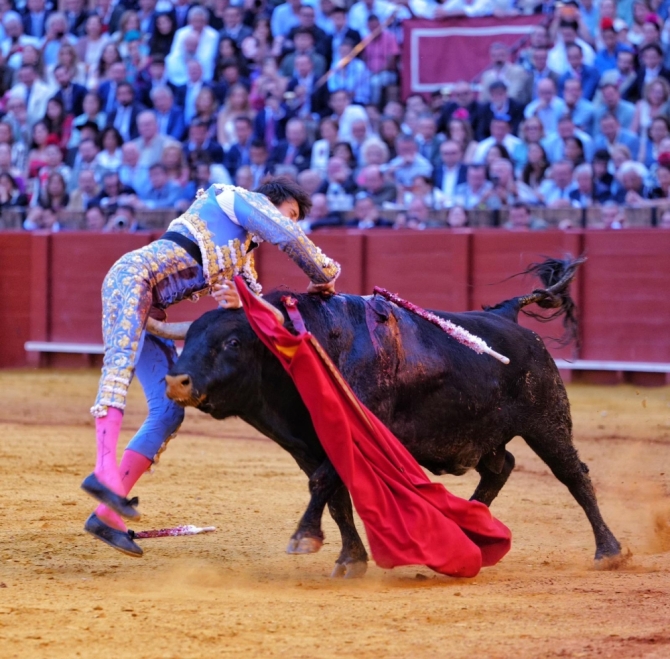 'Sangre y firmeza de Roca Rey'