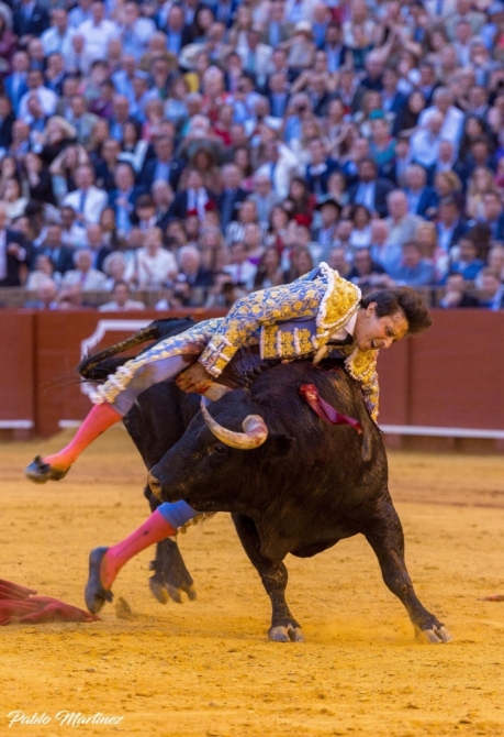 'Sangre y firmeza de Roca Rey'